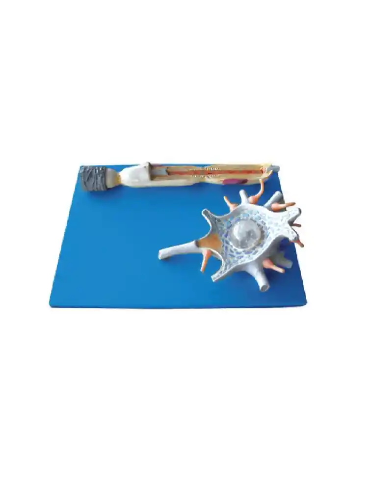Neuron Model