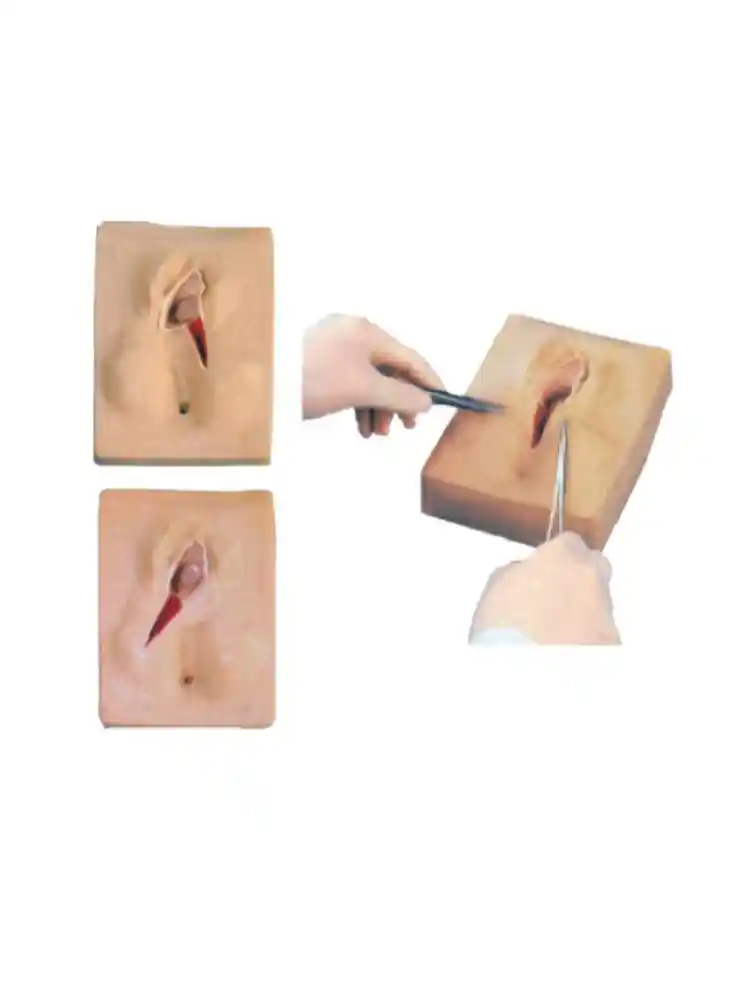 Vulva Suturing Training Simulator