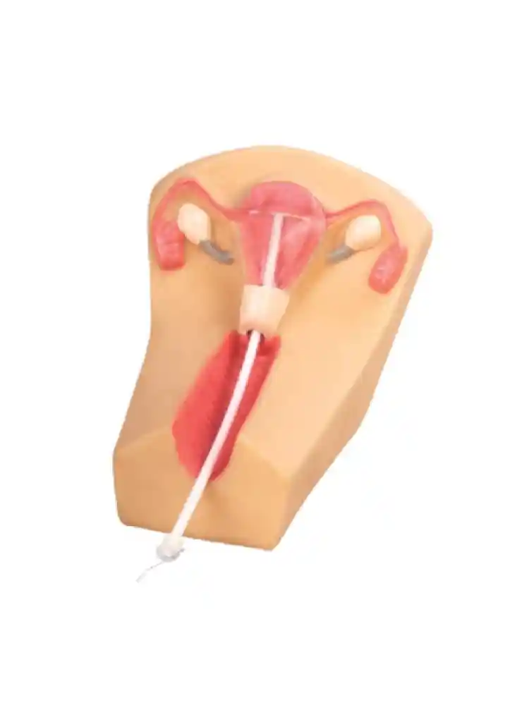 IUD Training Simulator