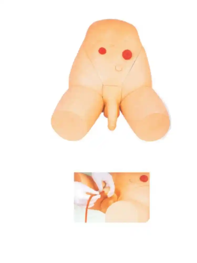 Male Catheterization Training Simulator