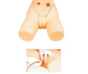 Female Catheterization Training Simulator