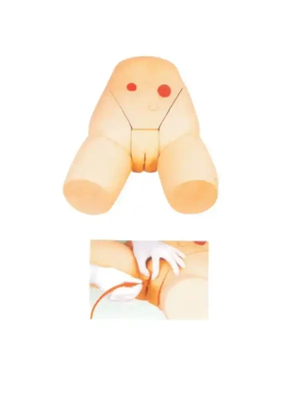 Female Catheterization Training Simulator