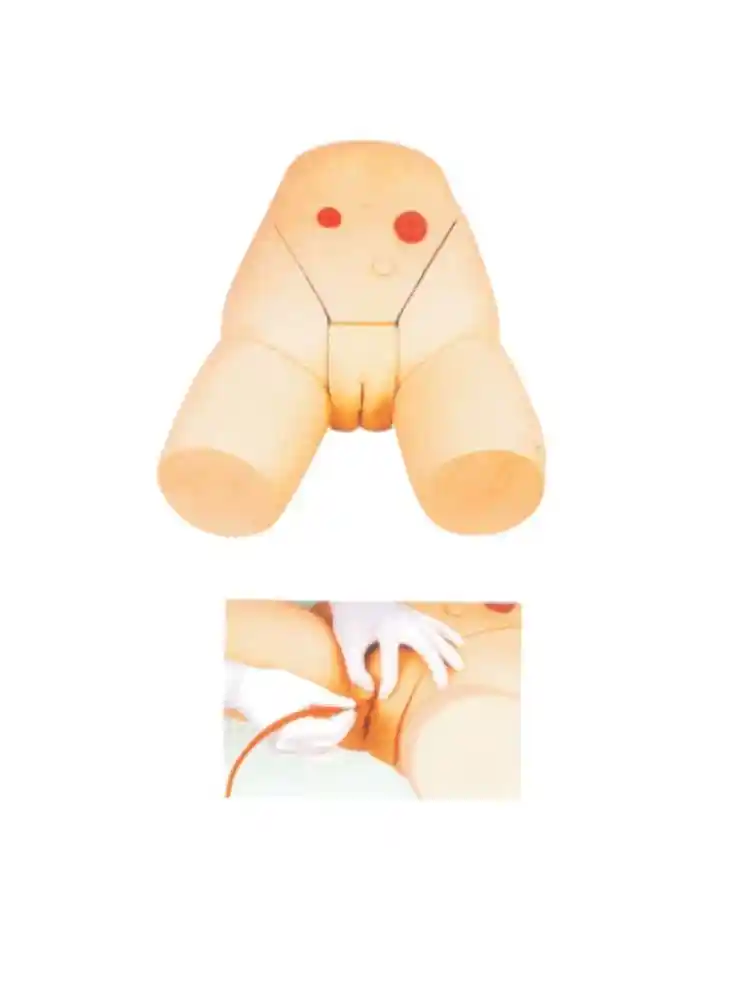 Female Catheterization Training Simulator