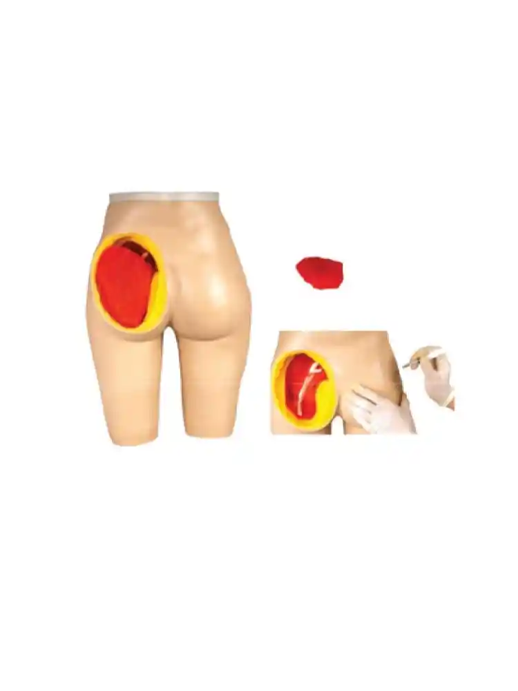Adult Intramuscular injection Training Manikin