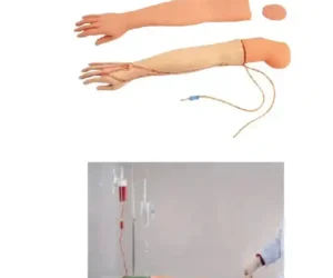 Multi Functional I.V. Training Arm