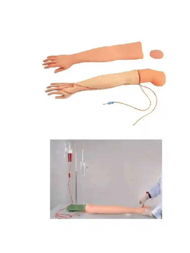 Multi Functional I.V. Training Arm