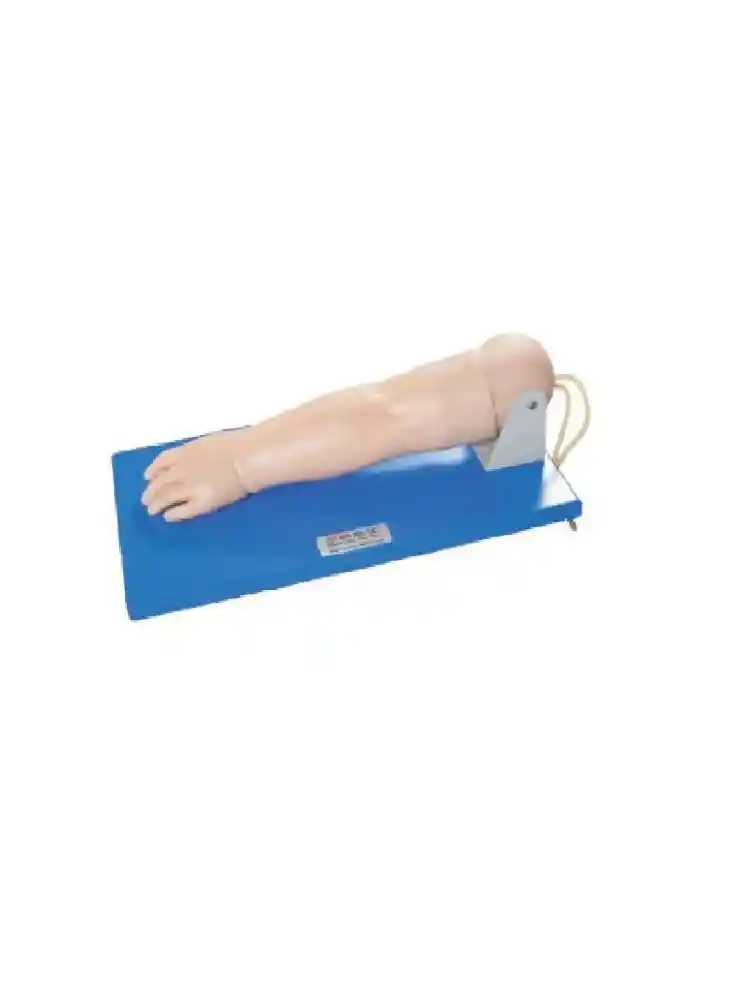 Pediatric Venipuncture Arm