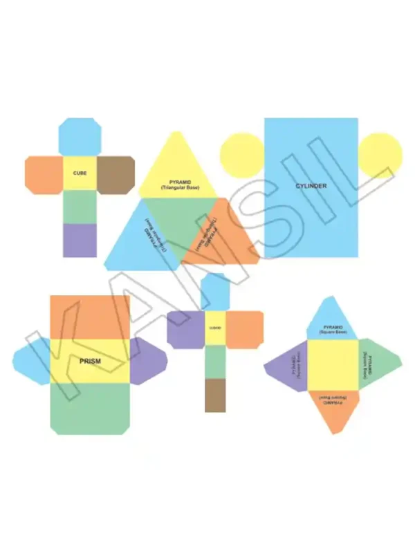 Paper Nets of Solid Shapes