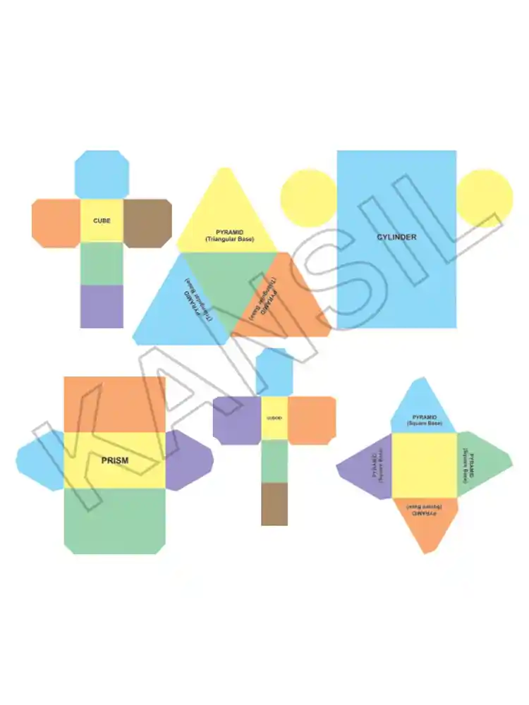 Paper Nets of Solid Shapes