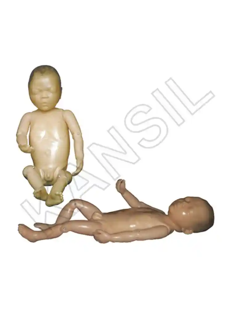 Newborn Baby Model