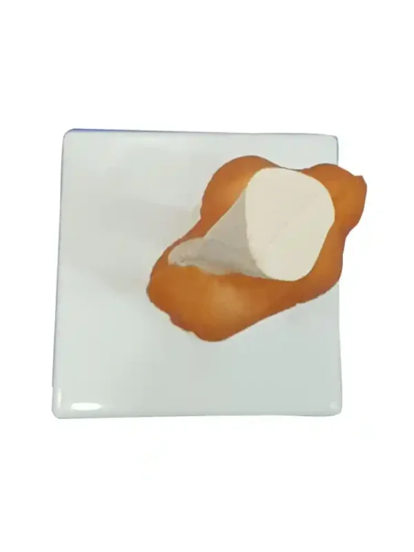 Elbow Joint Model Flexible - Image 5
