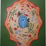 Animal Cell Model on MDF Board 60 x 45 cm