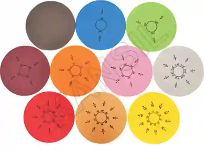 Magnet Fraction Disc with Magnetic Board