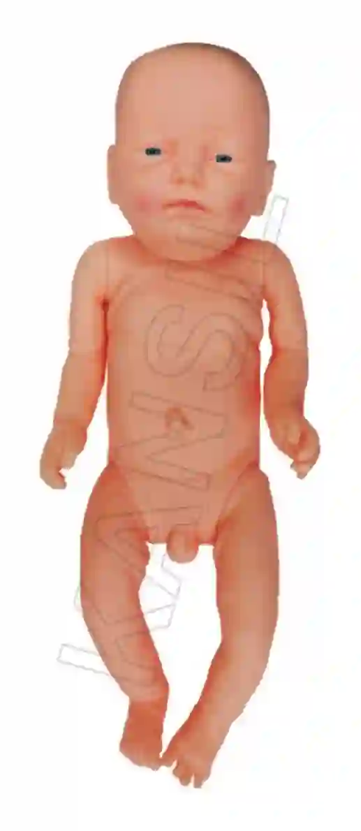 Newborn Baby Model Male